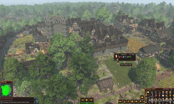Life is Feudal: Forest Village Screenshot 1