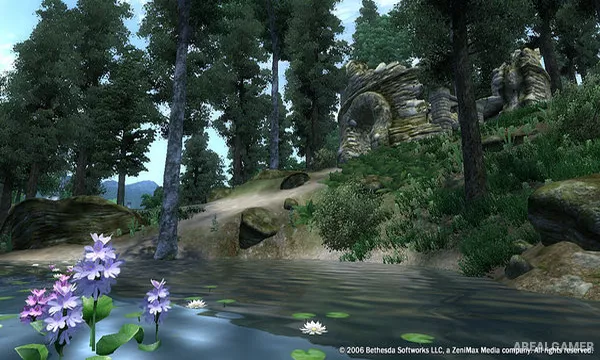 The Elder Scrolls IV: Oblivion GOTY Screenshot 3