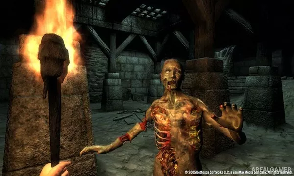 The Elder Scrolls IV: Oblivion GOTY Screenshot 2